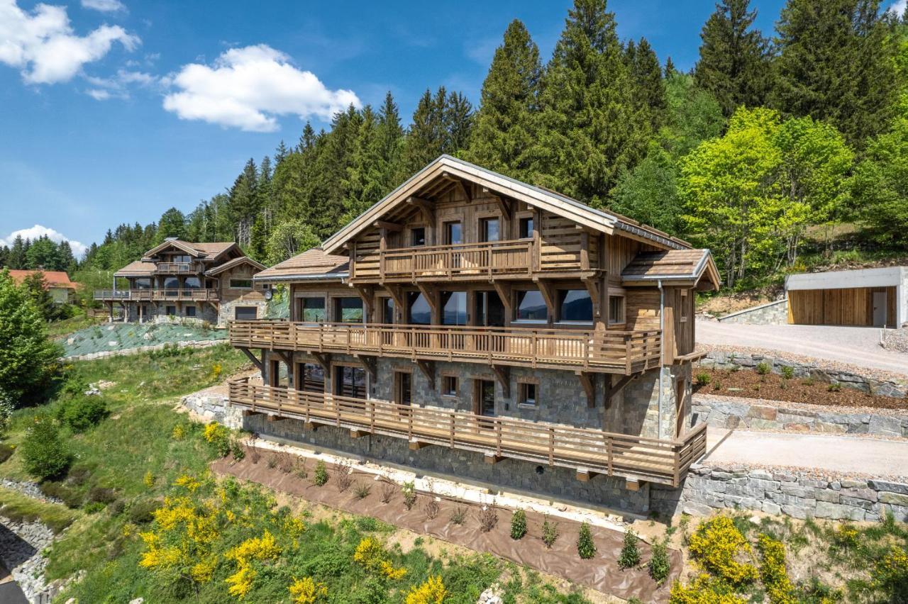 Villa Aigle des Neiges 5 étoiles Gérardmer Exterior foto